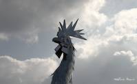 img50