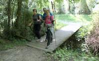 img66