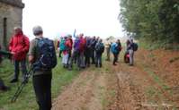 img33