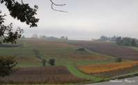 img47