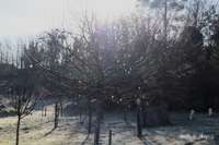 img28