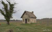 img22