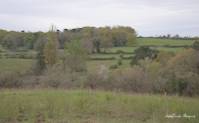 img37