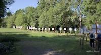 img29
