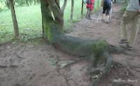 img50