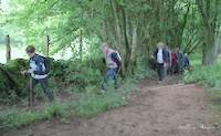 img51