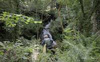 img119