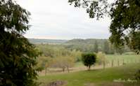 img25