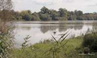 img56