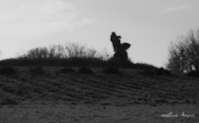 img37