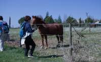 img100