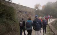img37