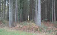 img19