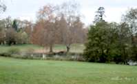 img93