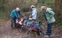 img66
