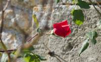 img47